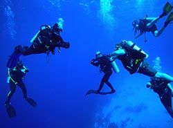 Upplev snorkling och dykning i Barcelona och Costa Brava, Spanien